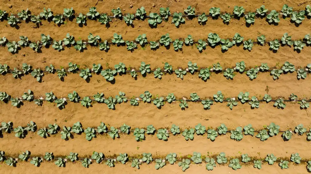 企业软件外包开发中系统架构设计的三个关键决策点