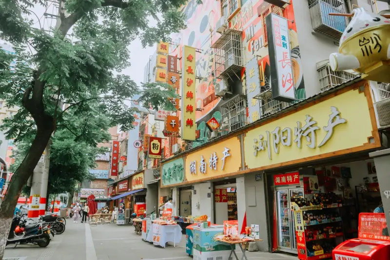 多行业系统设计定制方案对比：制造业、医疗与零售场景的技术适配