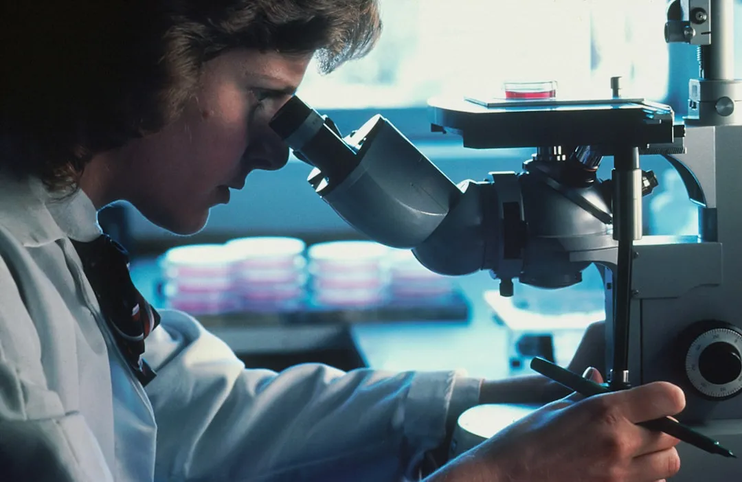 跨行业技术咨询在数字化转型项目中的关键作用