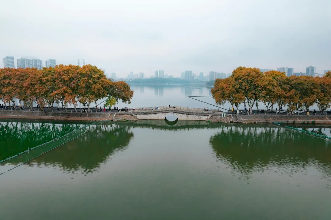 2024年软件外包项目开发成本构成与预算规划指南